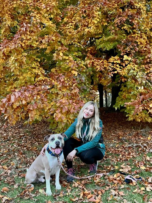 Petsitter, Behawiorysta zwierząt