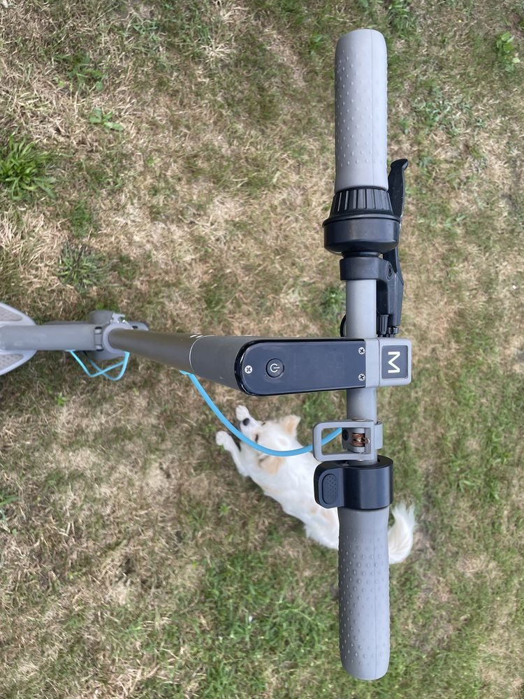 Hulajnoga elektryczna motus scotty 10 2022