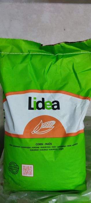 Kukurydza Arbori  LIDEA Nasiona kukurydzy Promocja