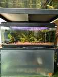 Aquario Aquatlantis de 100L