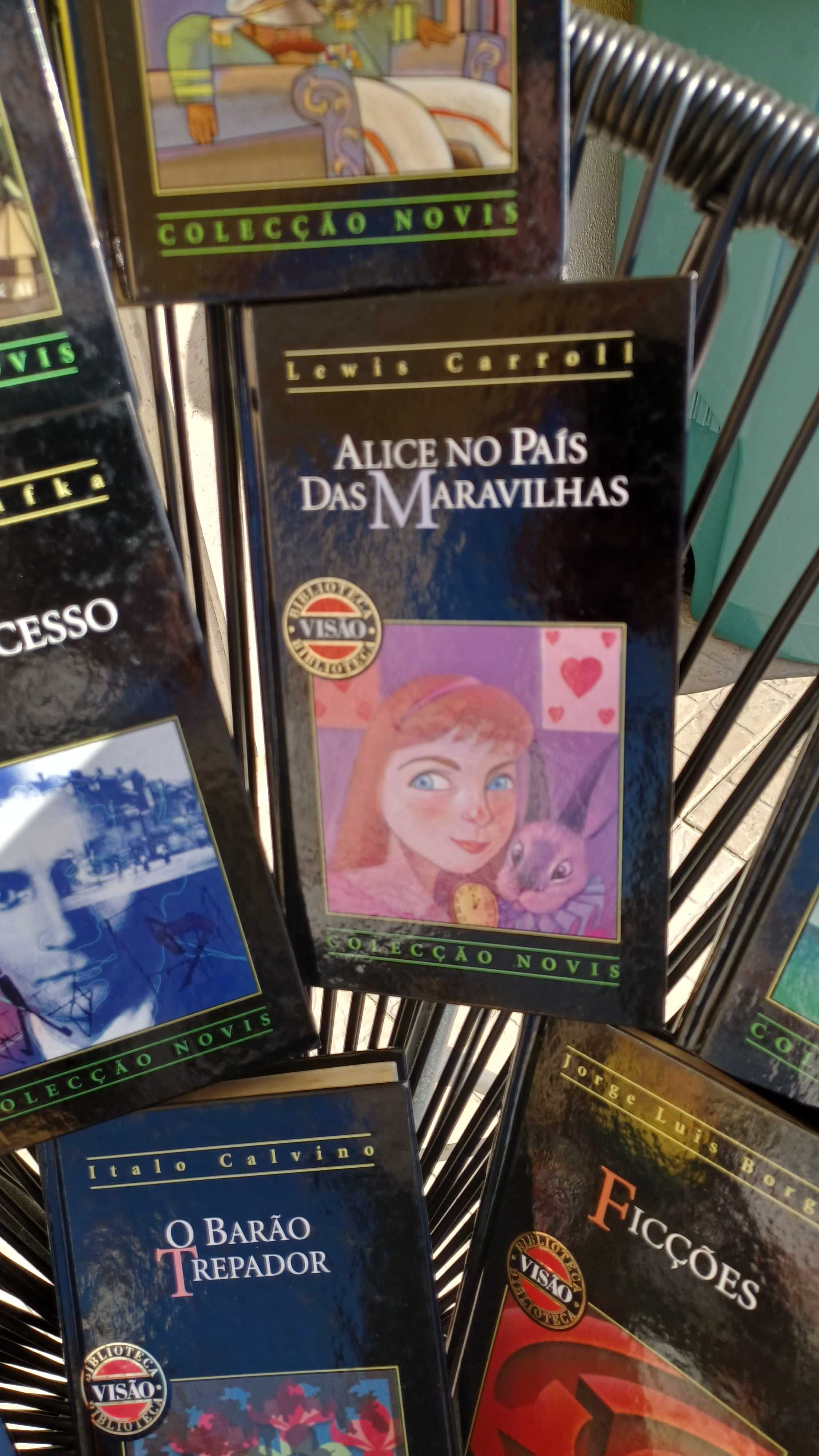 Coleção 14 livros usados