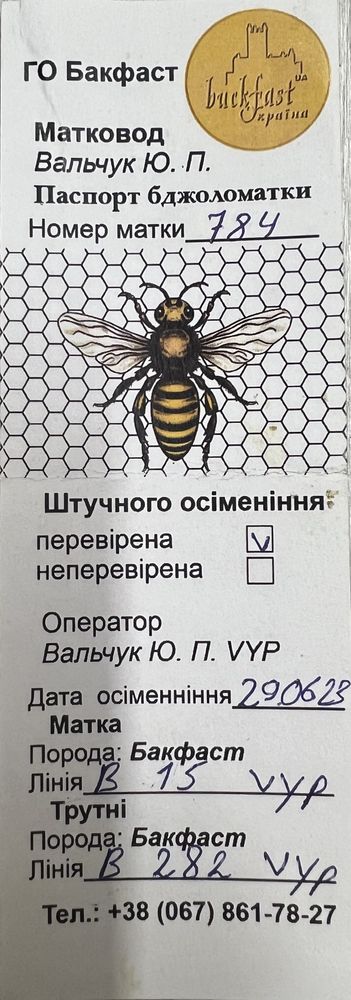 плідні матки , бакфаст , бджоли , неплідні , пакети