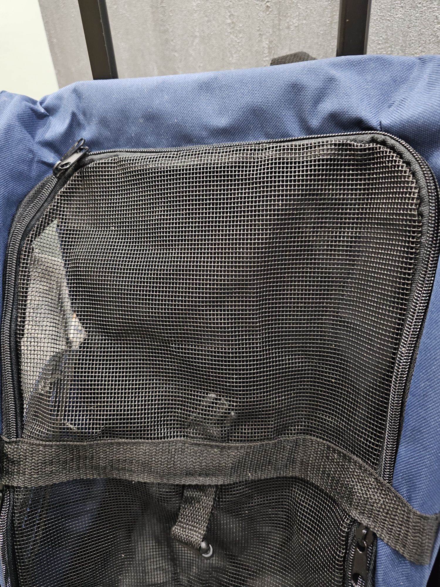 Mochila / mala com rodas para transporte de animais