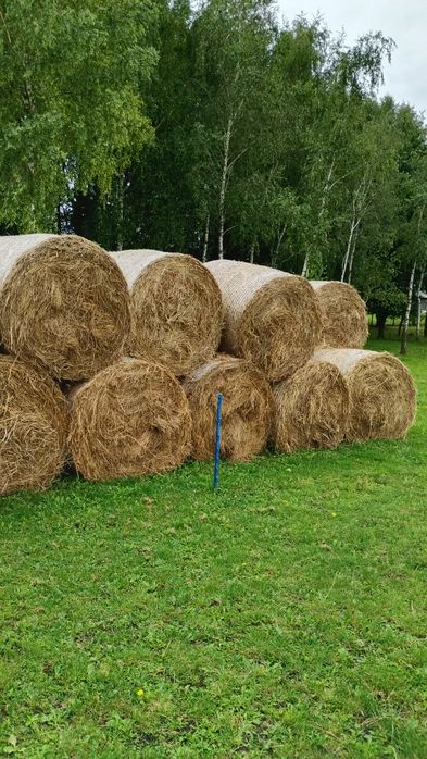 Siano w belach 120 zbiór 2025