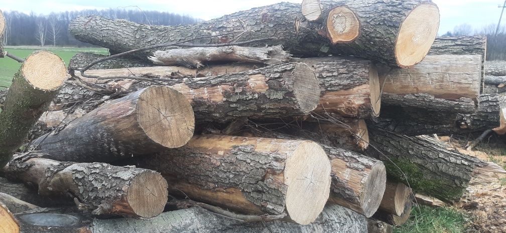 Olcha do wędzenia opał drewno drzewo dąb buk brzoza akacja świerk sosn