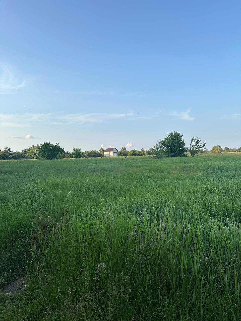 Продам земельну ділянку на першій лінії річки Десна!