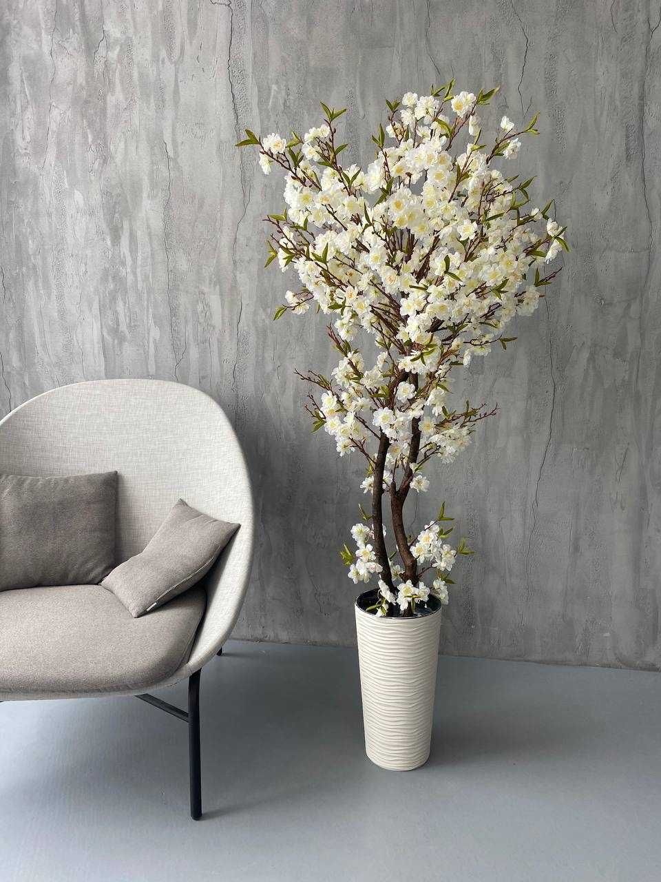 Гліцінія Акація Сакура декоративні вазони дерева