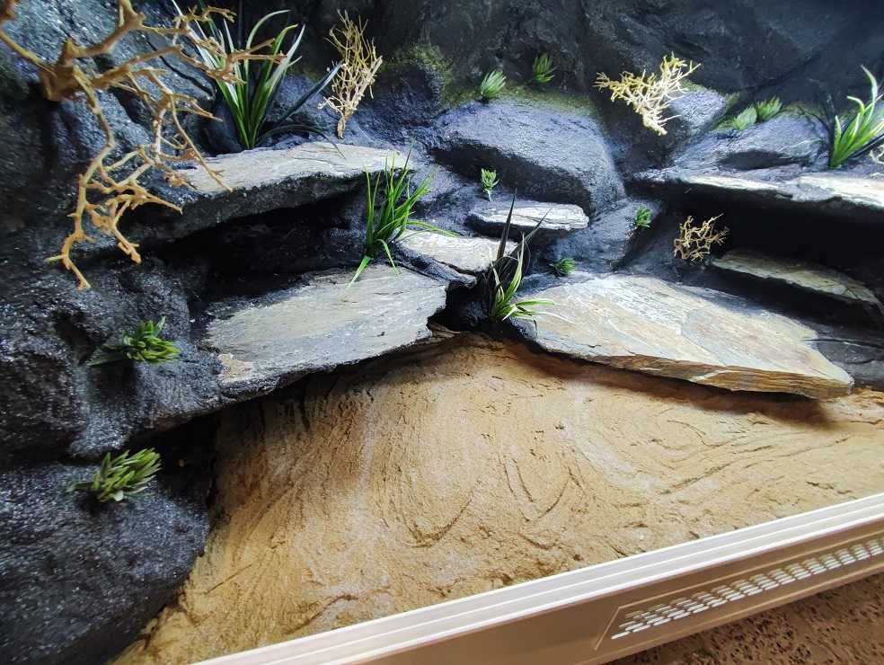 Terrarium dla agamy brodatej 120x60x60 Petmarket