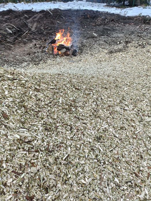 Zrębka drzewna transport w cenie