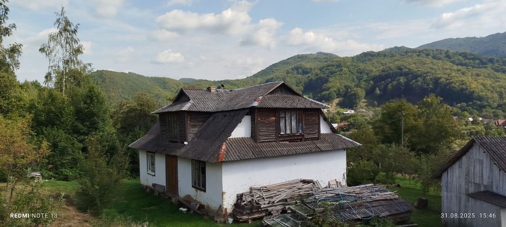 Будинок з ставком у Карпатах