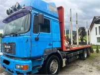 MAN F2000 FE TGA 460 do drewna lasu penz loglift epsilon