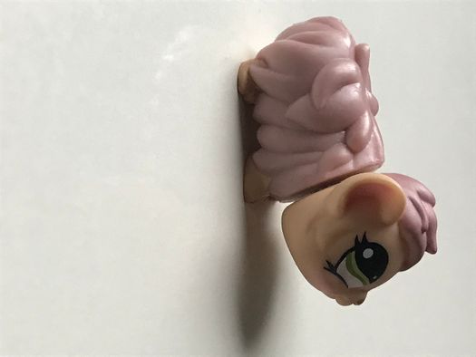 Figurka Littlest Pet Shop - świnka morska