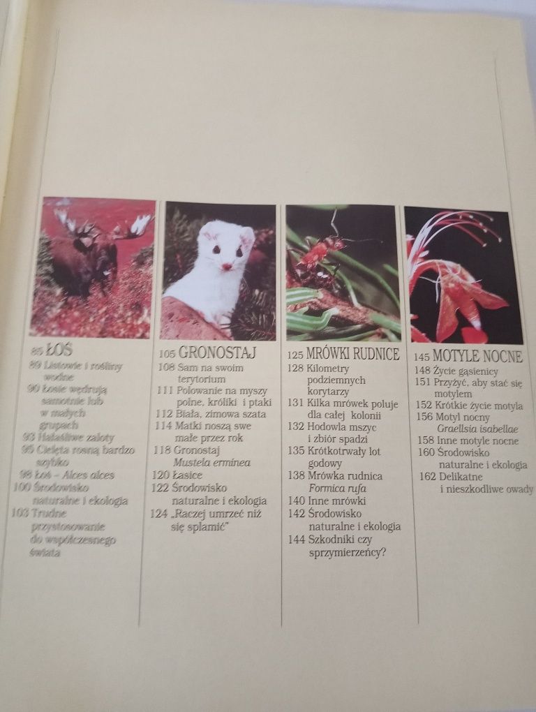 Tajga - encyklopedia dzikich zwierząt