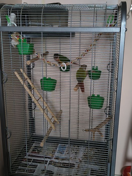 Woliera klatka omega 2/2 mam szara ptaków ptaki