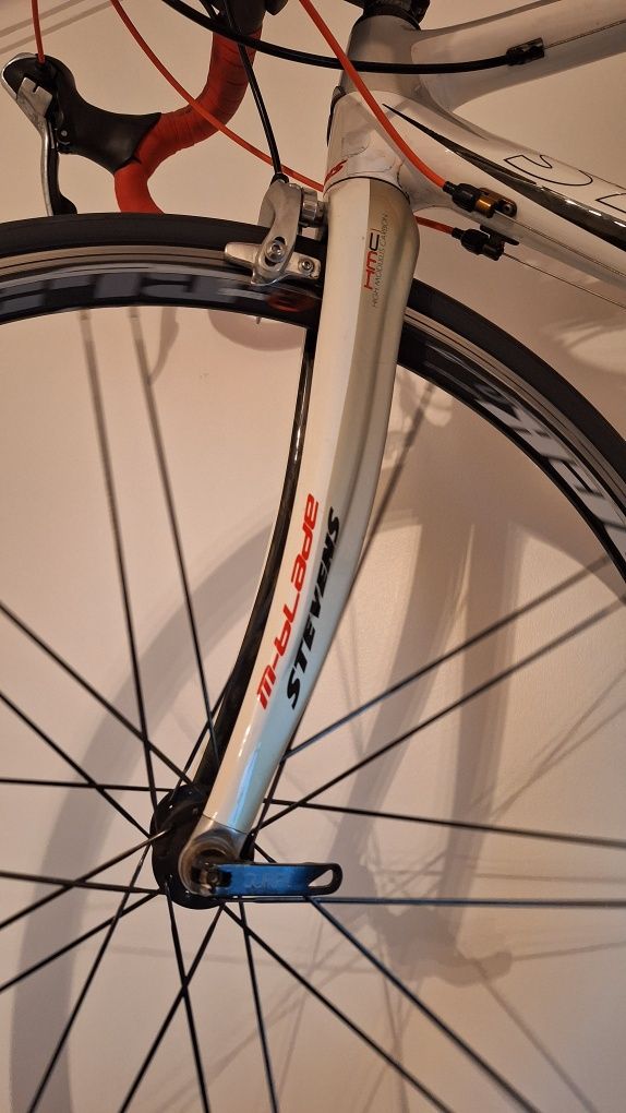 Stevens SCF full Carbono