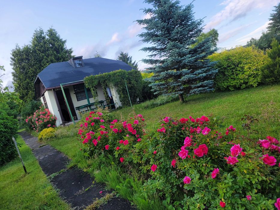 Sprzedam działkę ogrodniczą  w ROD BRATEK 500 m2 (prąd + woda)