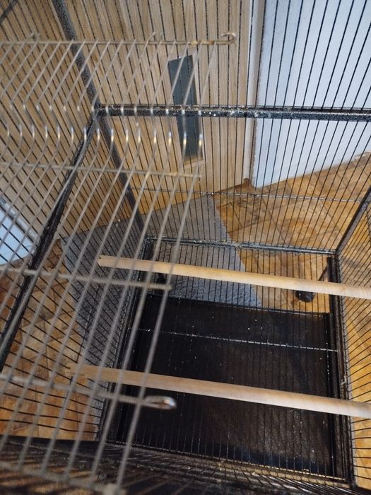 Klatka, woliera dla ptaków