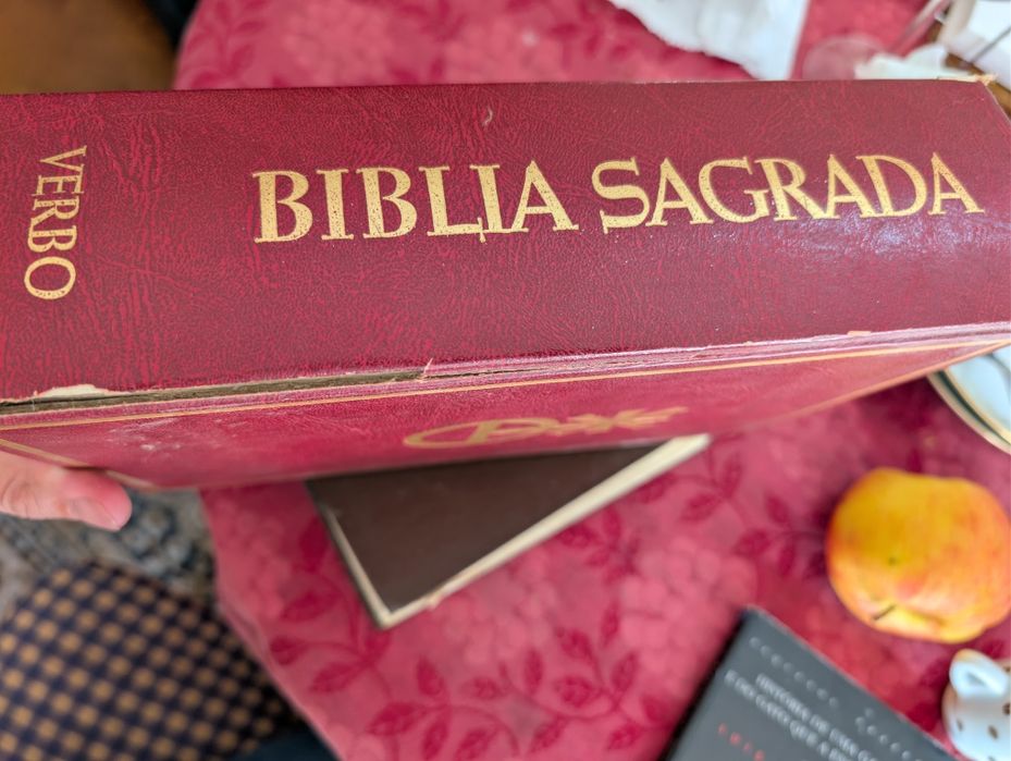 Livro da Bíblia Sagrada 1976