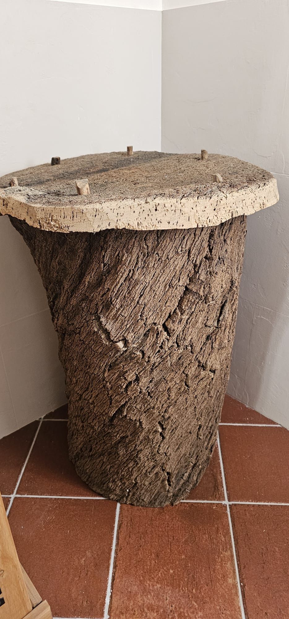 Cortiço colmeia em bom estado