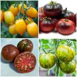 Kit sementes 4 Tomates Raros - produção própria