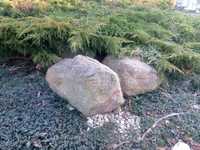 Kamień polny do ogrodu   duże rozmiary