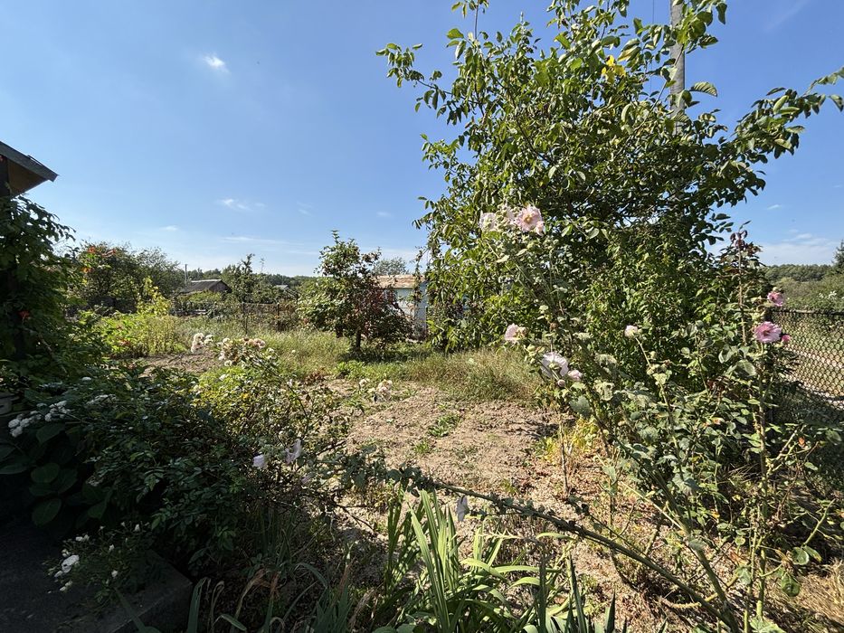 Продаж Будинок 20м². Ділянка 6сот. Братківці. Дача. Вода. Світло. Сад