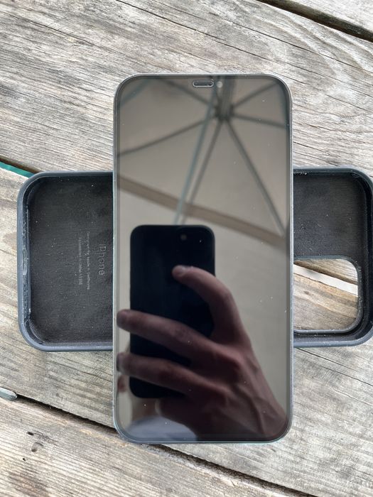 Iphone 12 Pro Max 256 gb