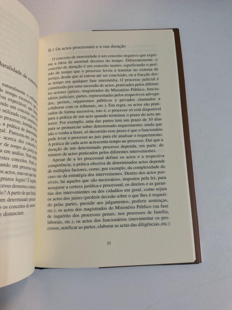 Os atrasos da justiça, de Conceição Gomes