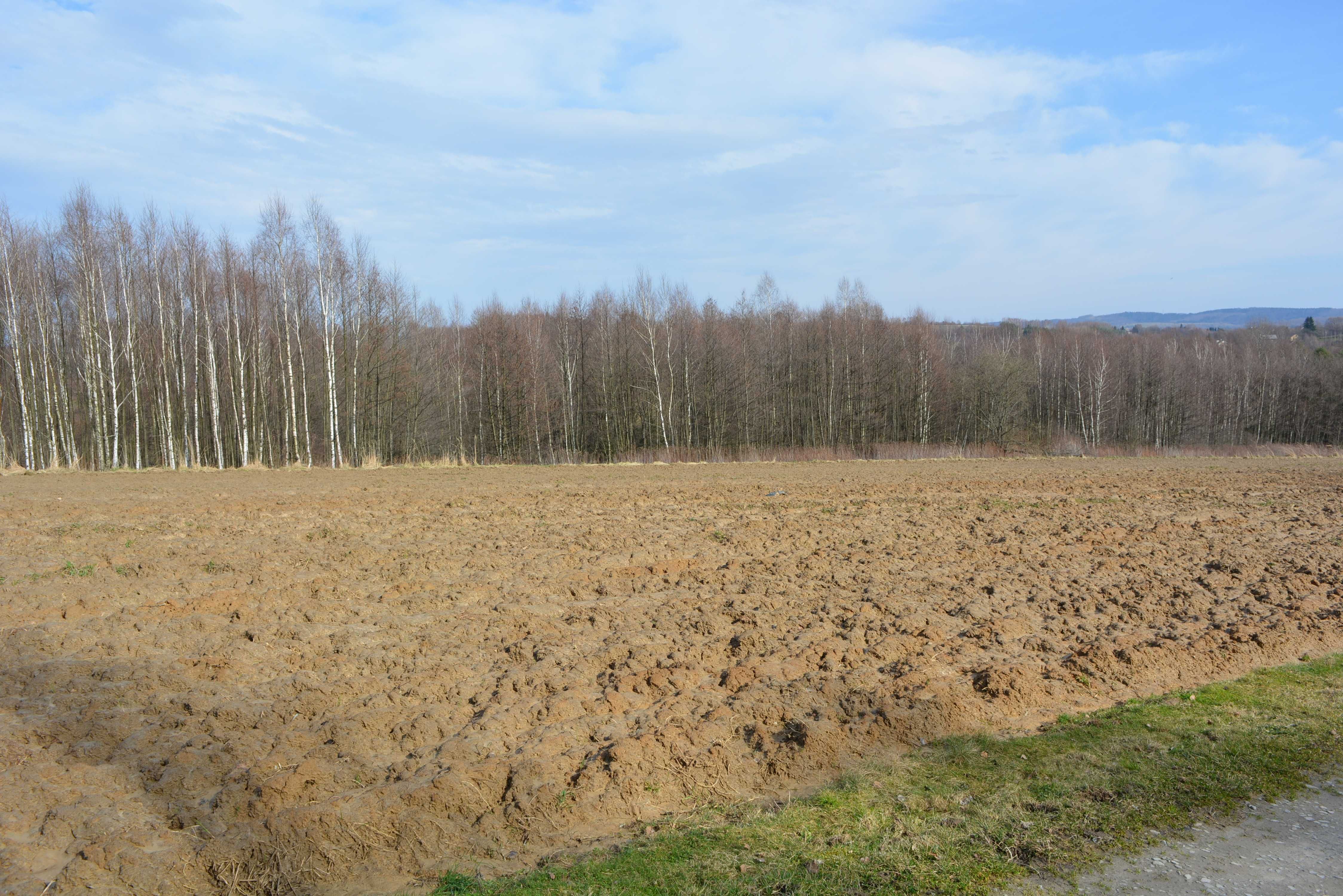 Widokowa działka 50 arów  Wysoka Strzyżowska