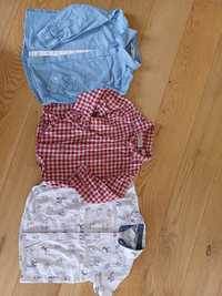 Koszule r 98 zara h&m primark