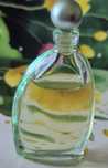 Cacharel Eau d'Eden edt 5 ml, miniatura vintage