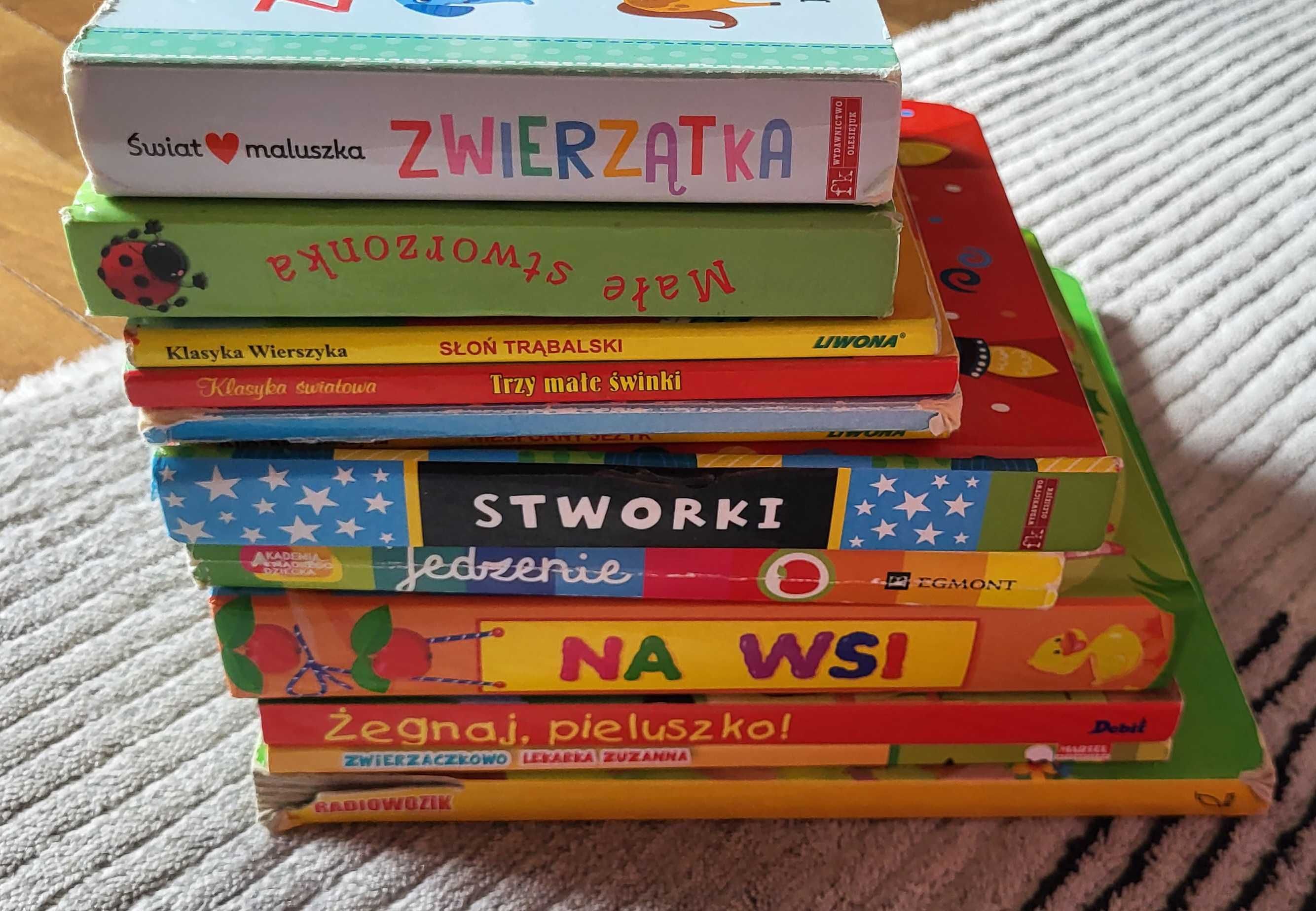 Książeczki edukacyjne dla malucha - zestaw 12 szt - otwierane okienka