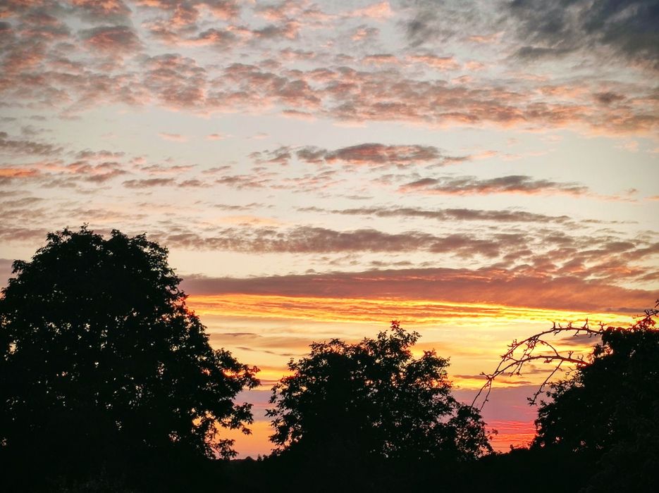 Добудуйте дім мрії