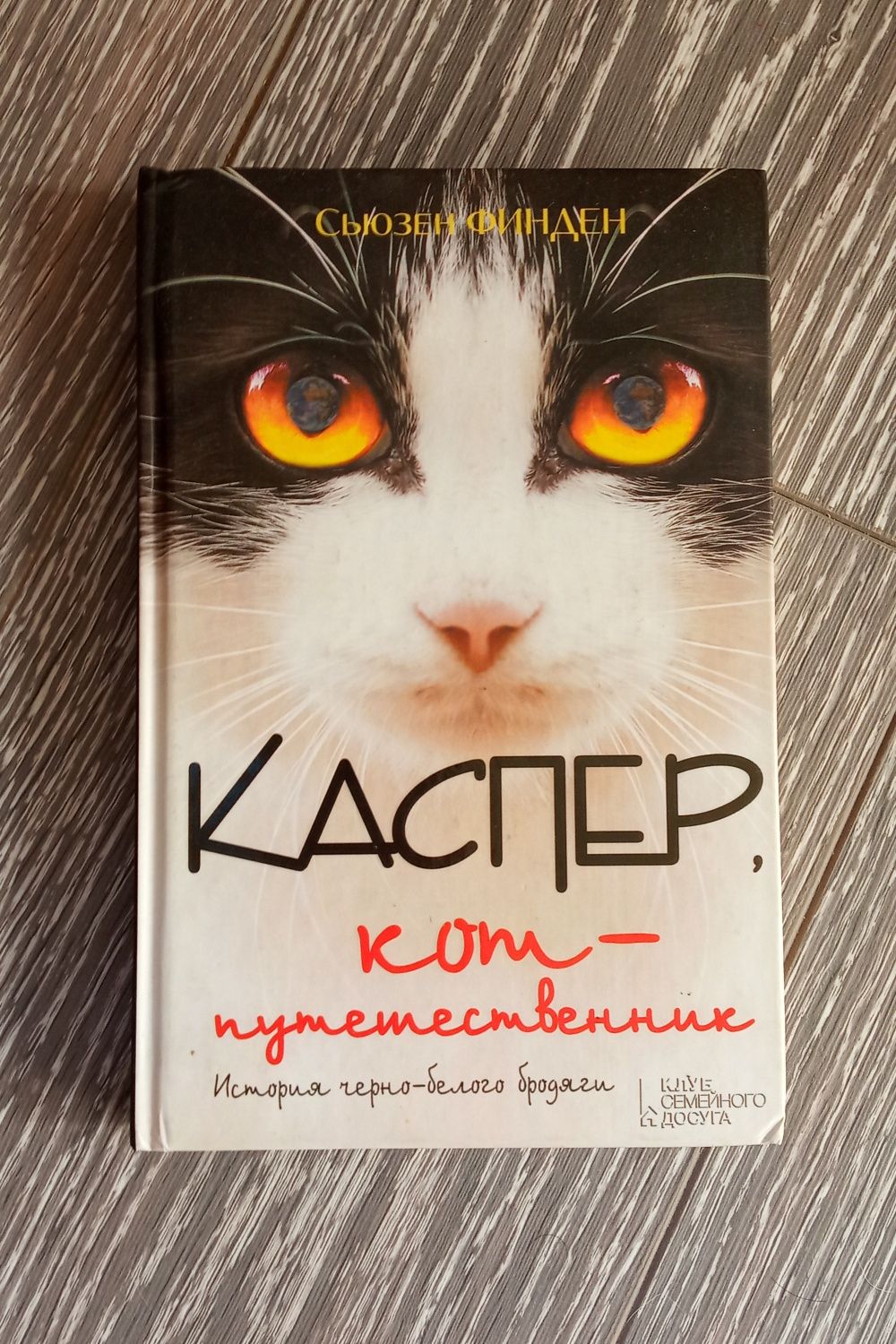 книга Каспер, кот-путешественник