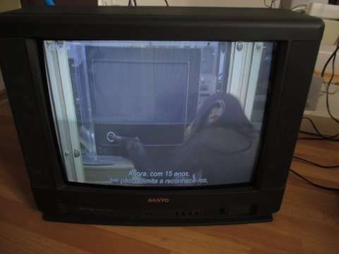 TV SANYO - modelo: C21EF25N