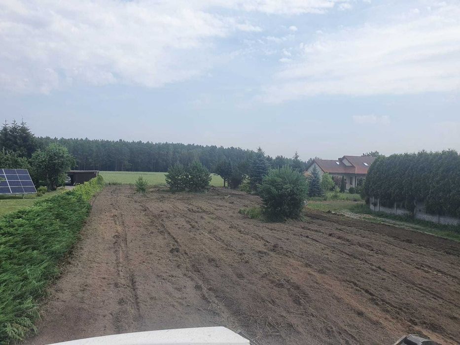 Mulczowanie frezowanie mulczer leśny karczowanie wycinka czyszczenie