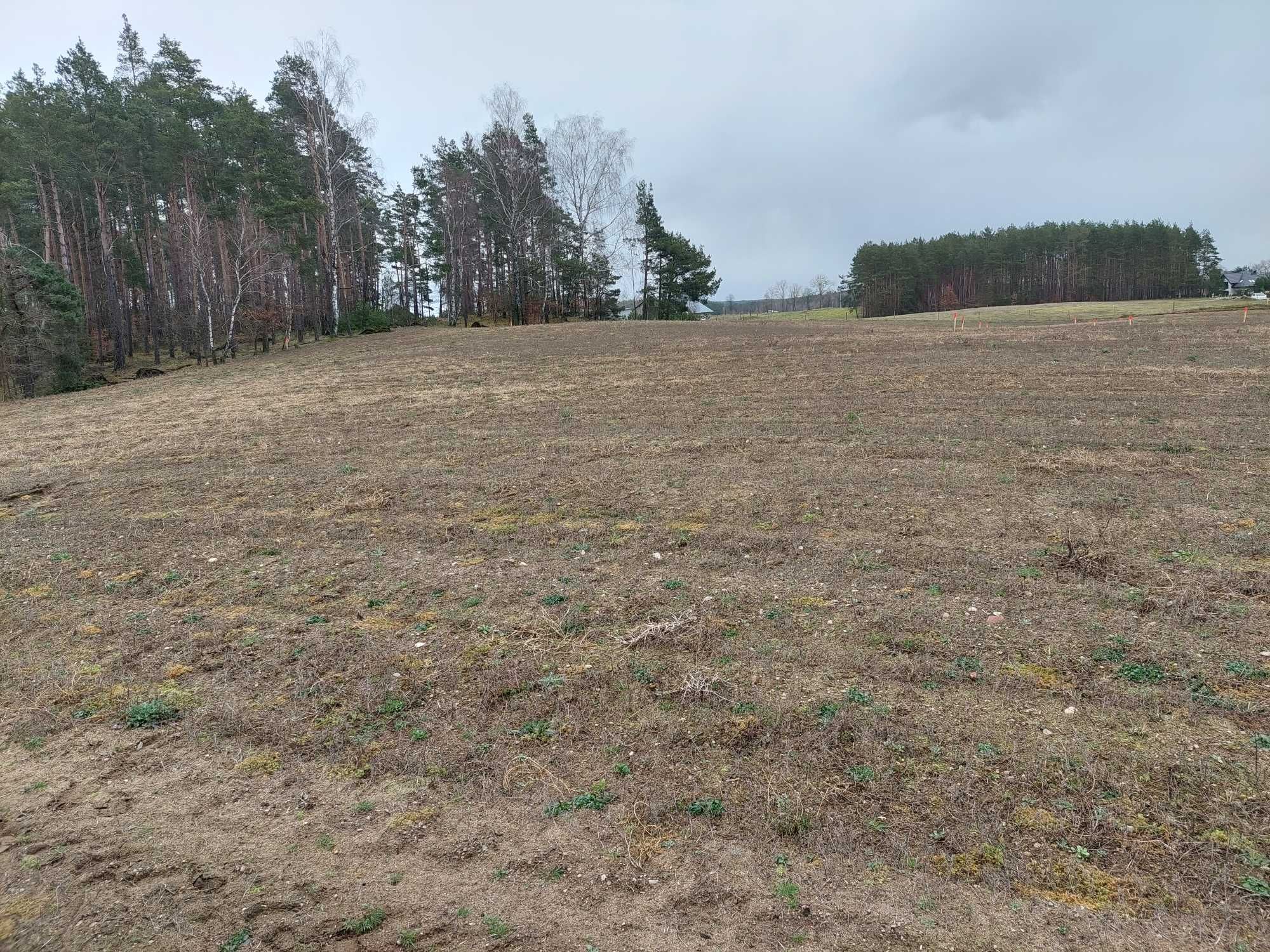 Działki budowlane na sprzedaż Kalisz gmina Dziemiany