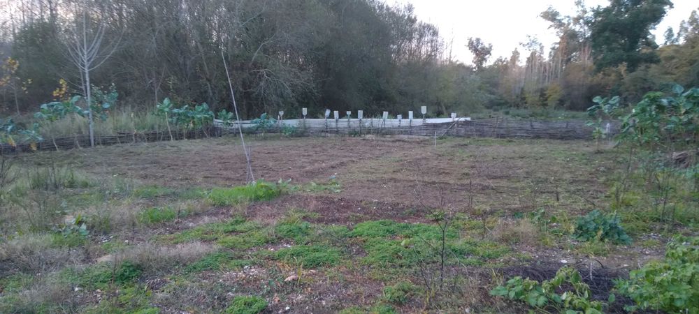 Limpeza de terrenos com motorroçadora