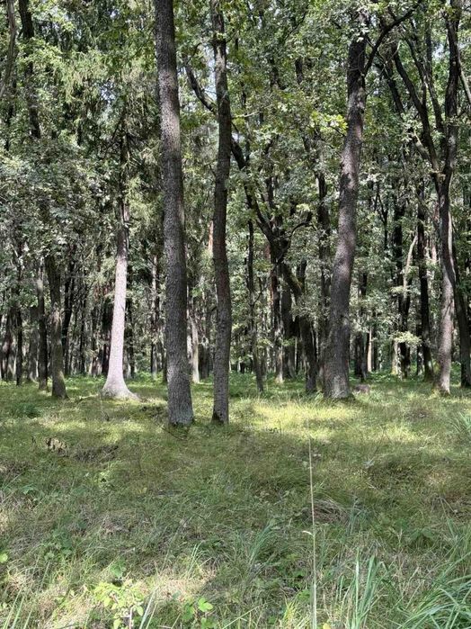 Продаж дачі,ділянка 9 соток,біля лісу,15 хв від Львова. с.Дібрівки