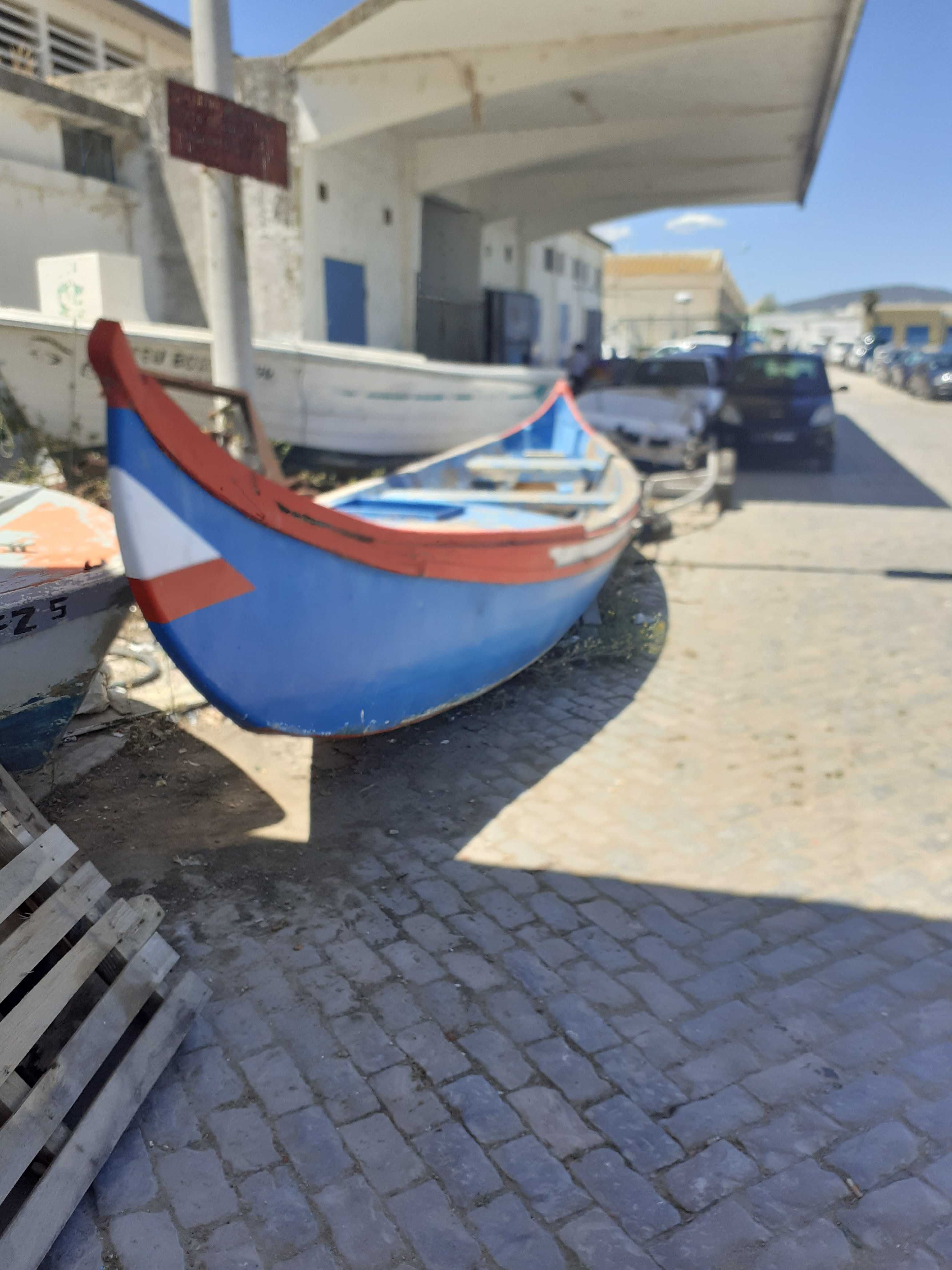 Barco Moliceiro turistico