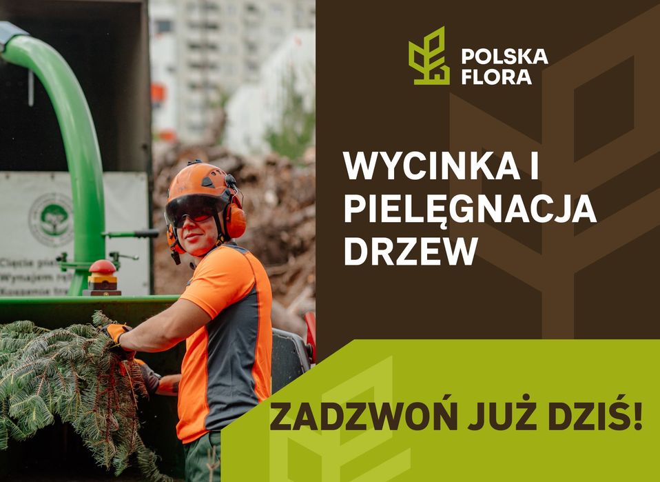 Wycinka drzew, pielęgnacja drzew, sprzedaż drewna. BEZPŁATNA WYCENA