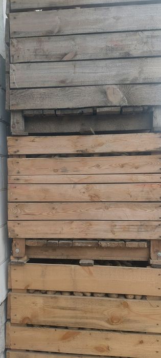 Sprzedam ziemniaki odpadowe paszowe