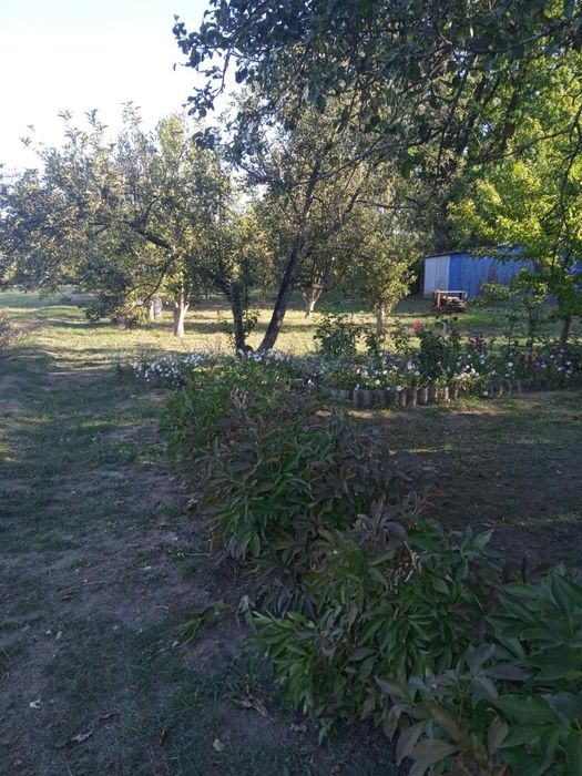 Продам земельну ділянку під забудову.