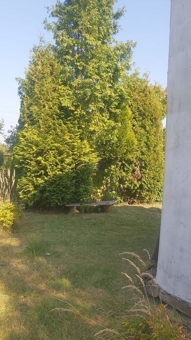 Ogródek rekreacyjny