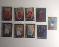 Cromos Match Attax 24/25
