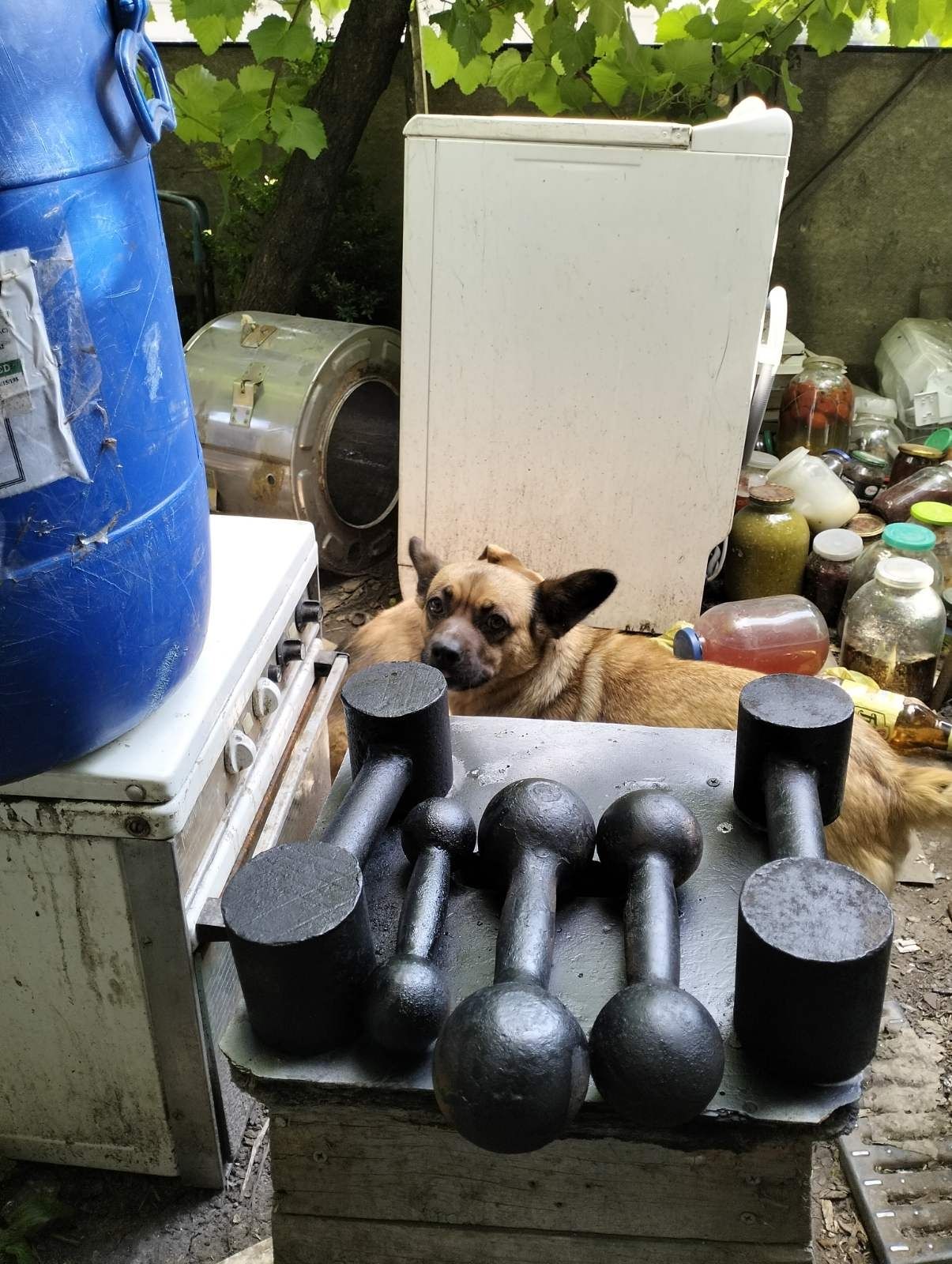 Продам гирі гантелі