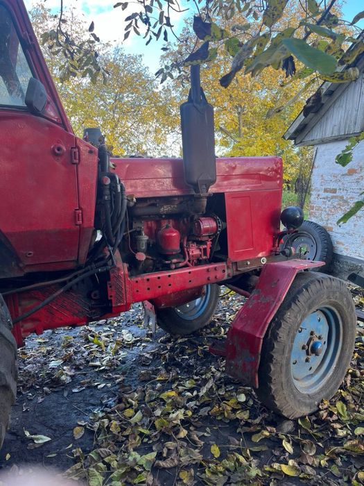 Продам МТЗ 80 з документами