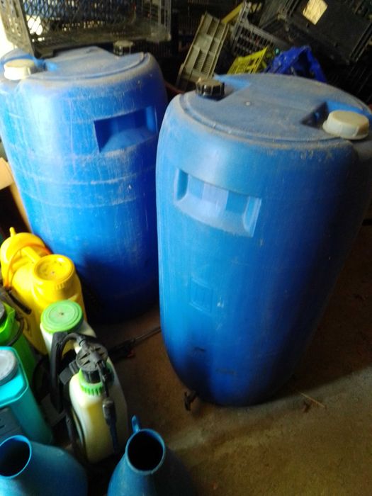 Bidões com torneira vinho.