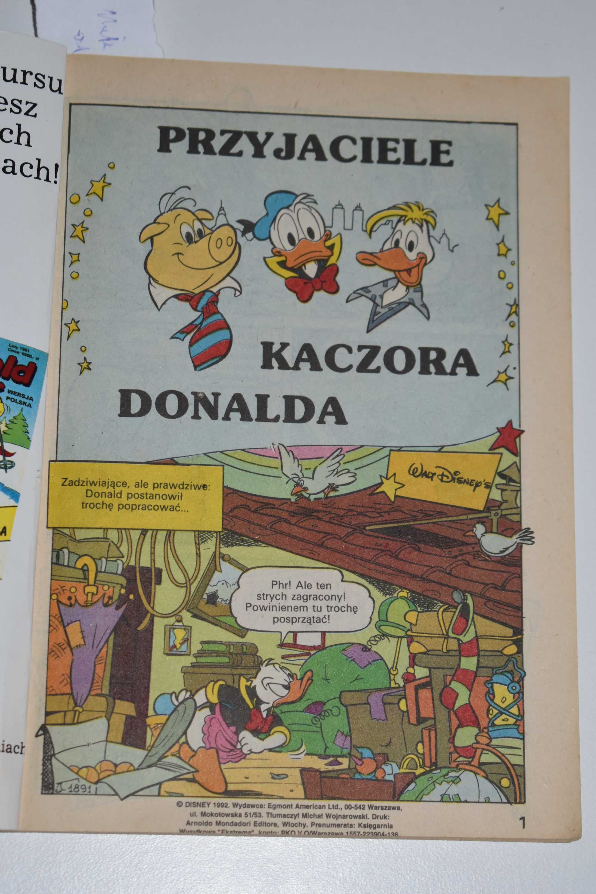 Donald i spółka nr 17