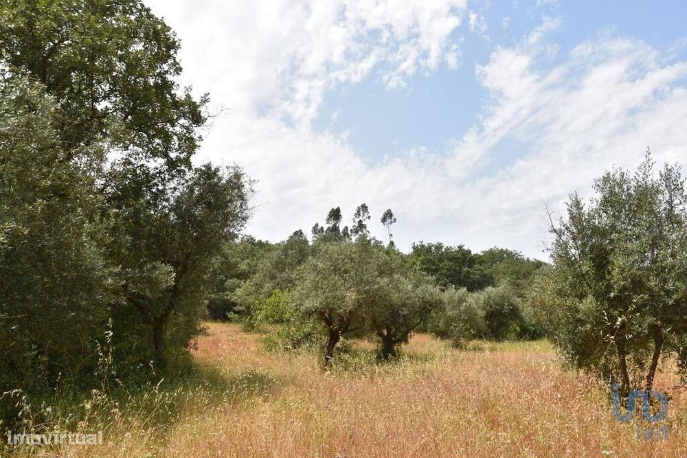 Terreno em Chãos de 3680,00 m2